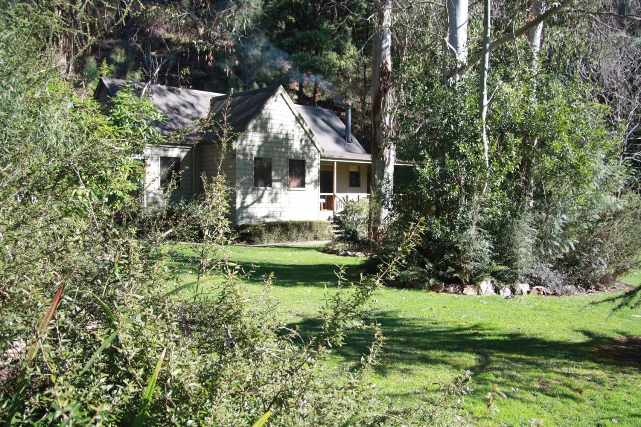 Shady Brook Cottages Harrietville Exterior photo