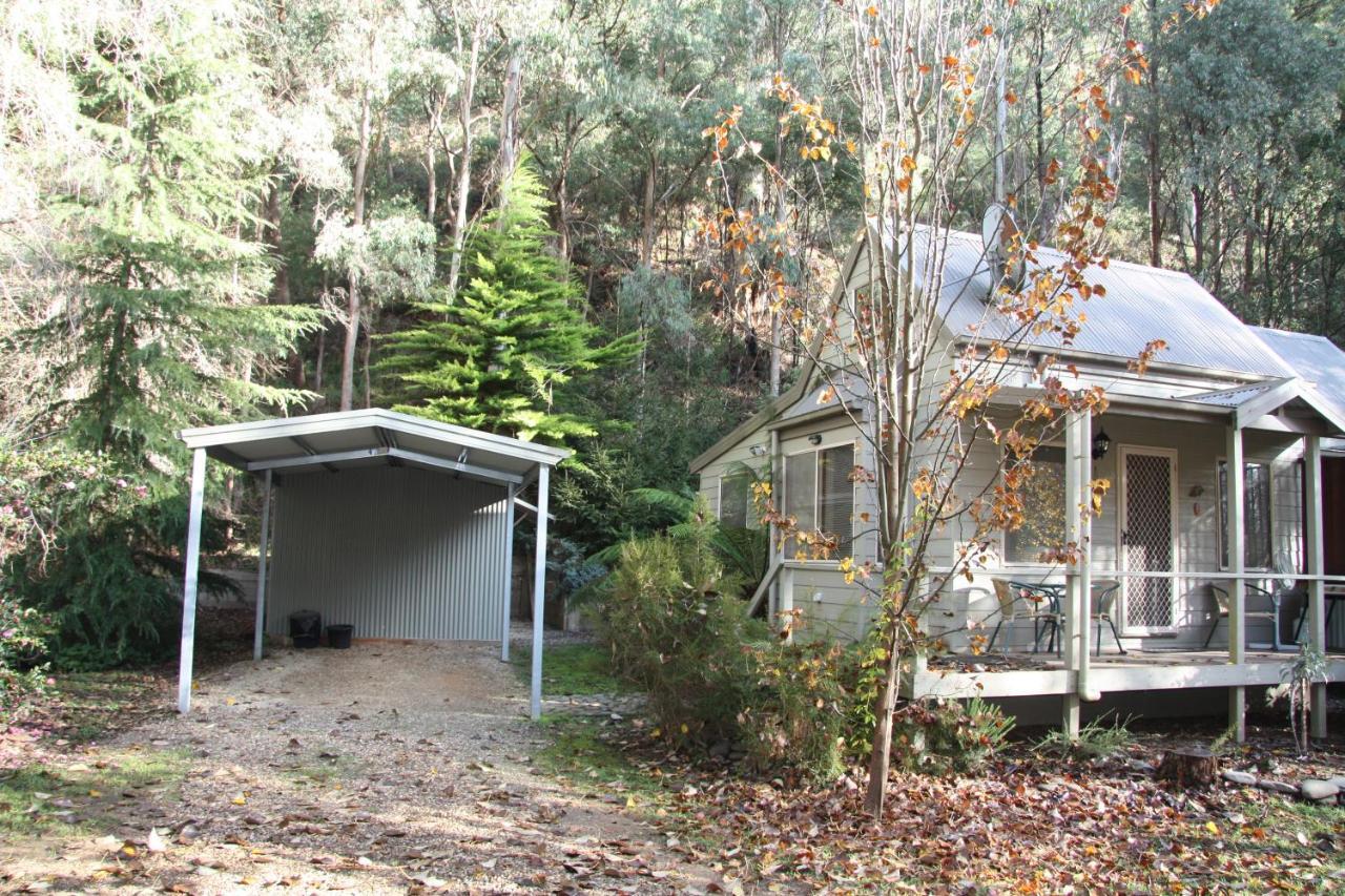 Shady Brook Cottages Harrietville Exterior photo