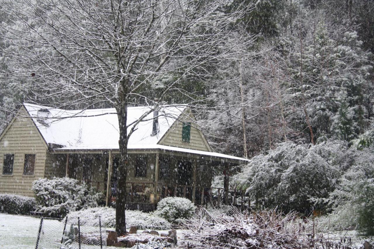 Shady Brook Cottages Harrietville Exterior photo
