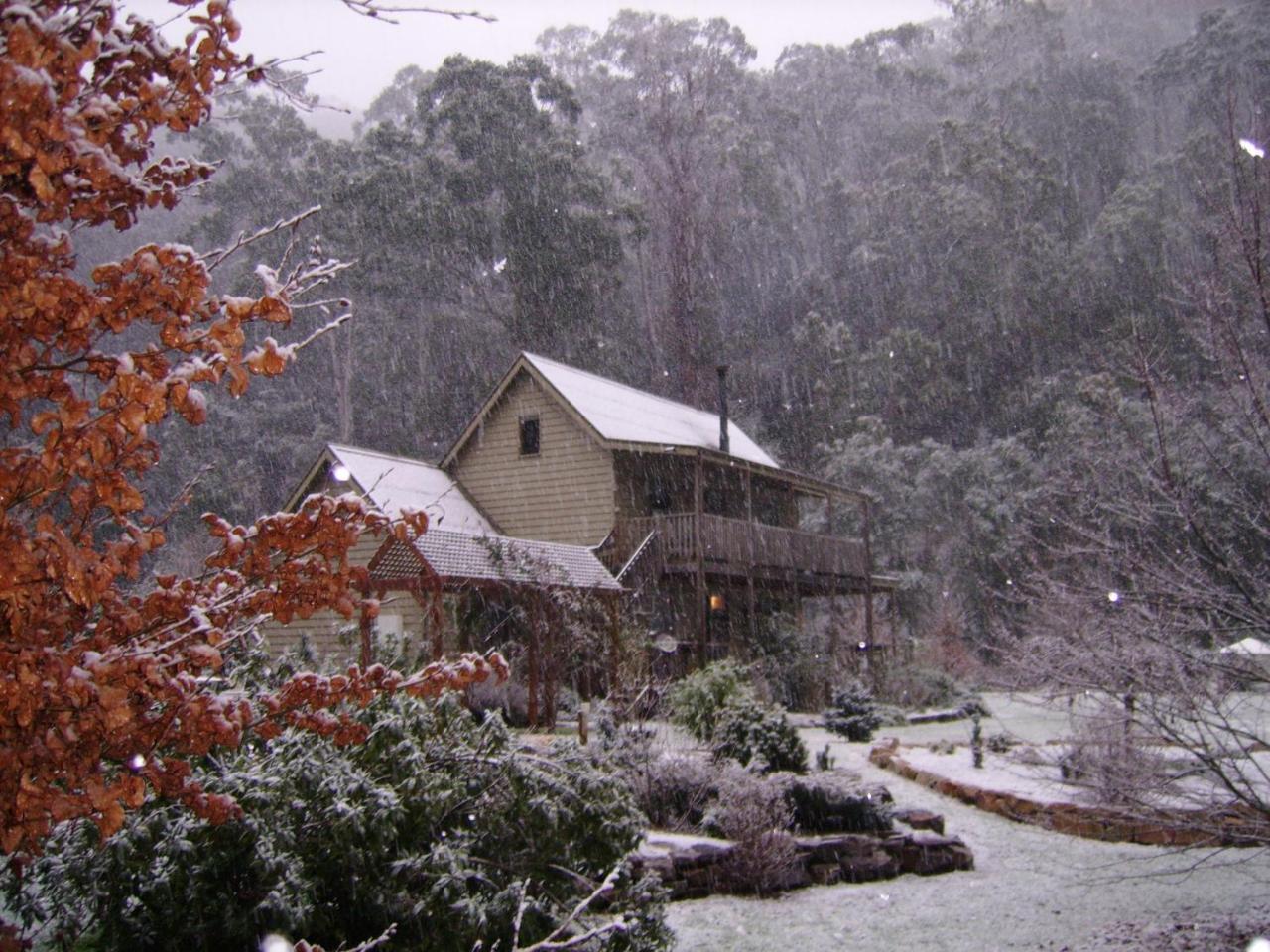Shady Brook Cottages Harrietville Exterior photo