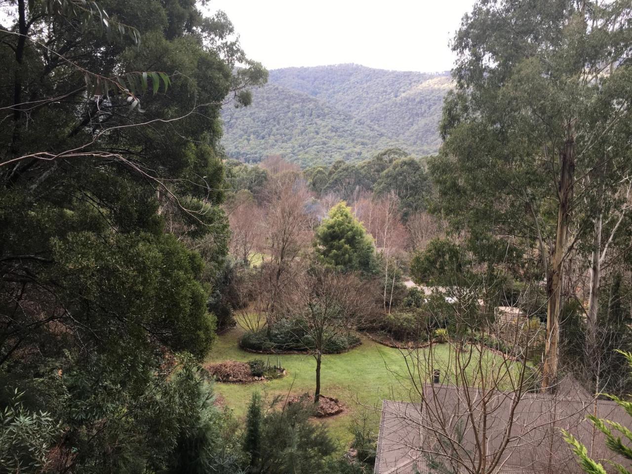 Shady Brook Cottages Harrietville Exterior photo